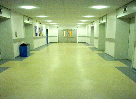 醫院亞麻地板工程案例-英國倫敦Thomas Guy Hospital
